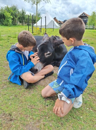 kinderen op gras met ezel
