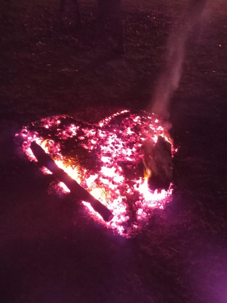 whatsapp image 2026 04 08 at 20.20.06